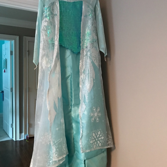 chasing fireflies elsa costume
